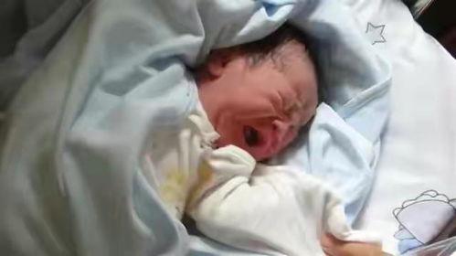 张杰吃瓜爆料视频在线观看,揭秘娱乐圈幕后真相  第1张